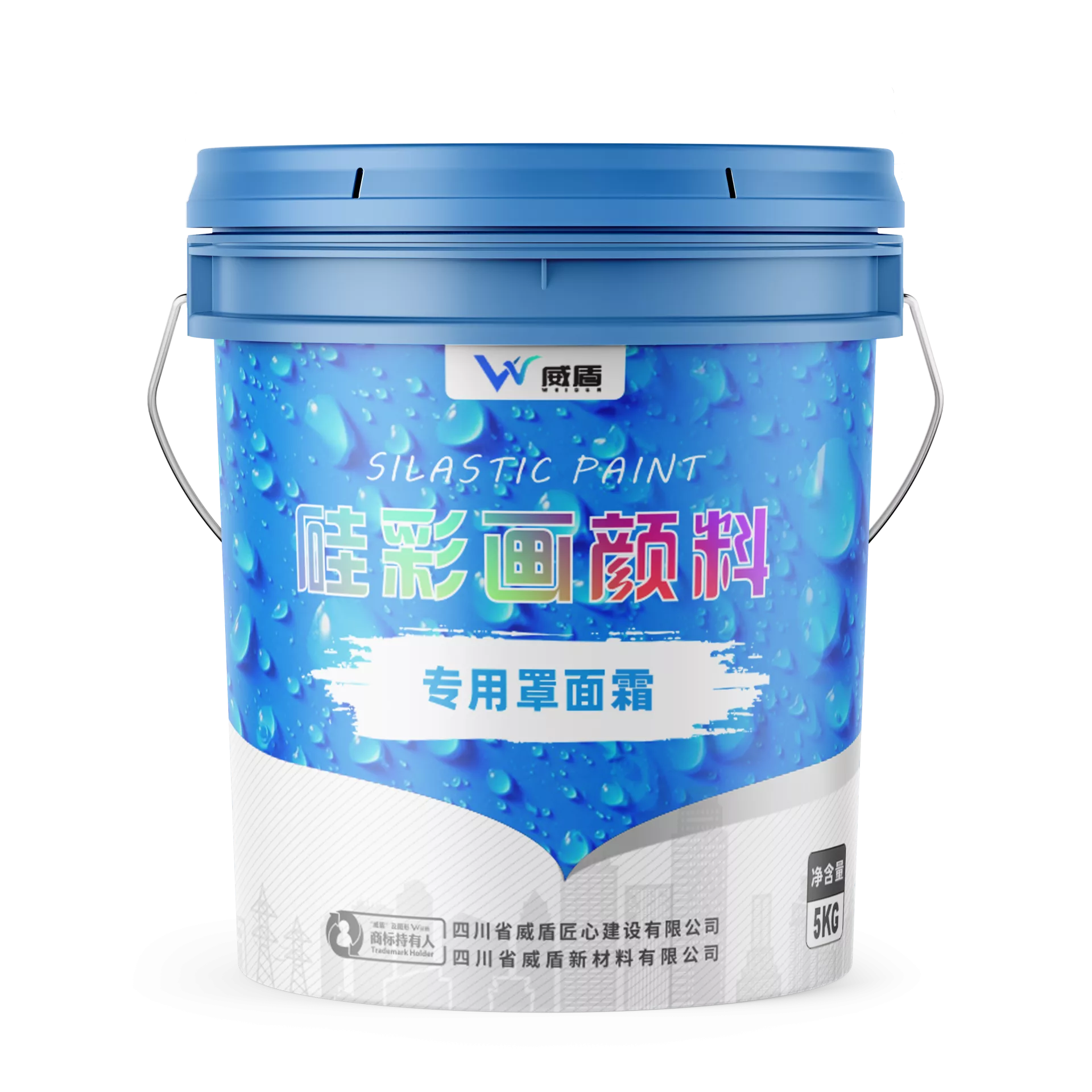 Silicone Art Coating Protective Clear Coat